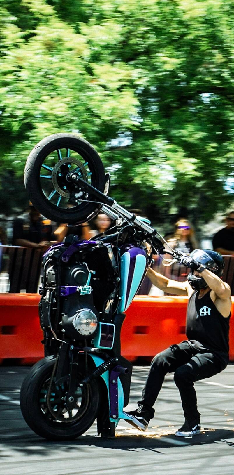 C-Stunt-Show-05-tbdcredit