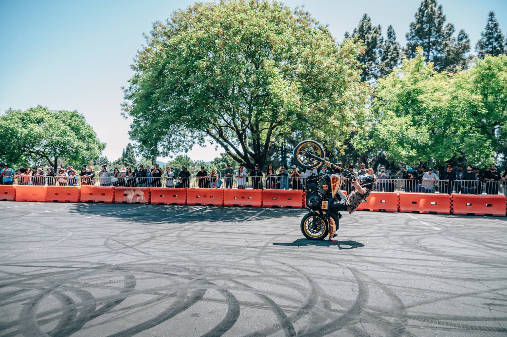 C-Stunt-Show-11-tbdcredit