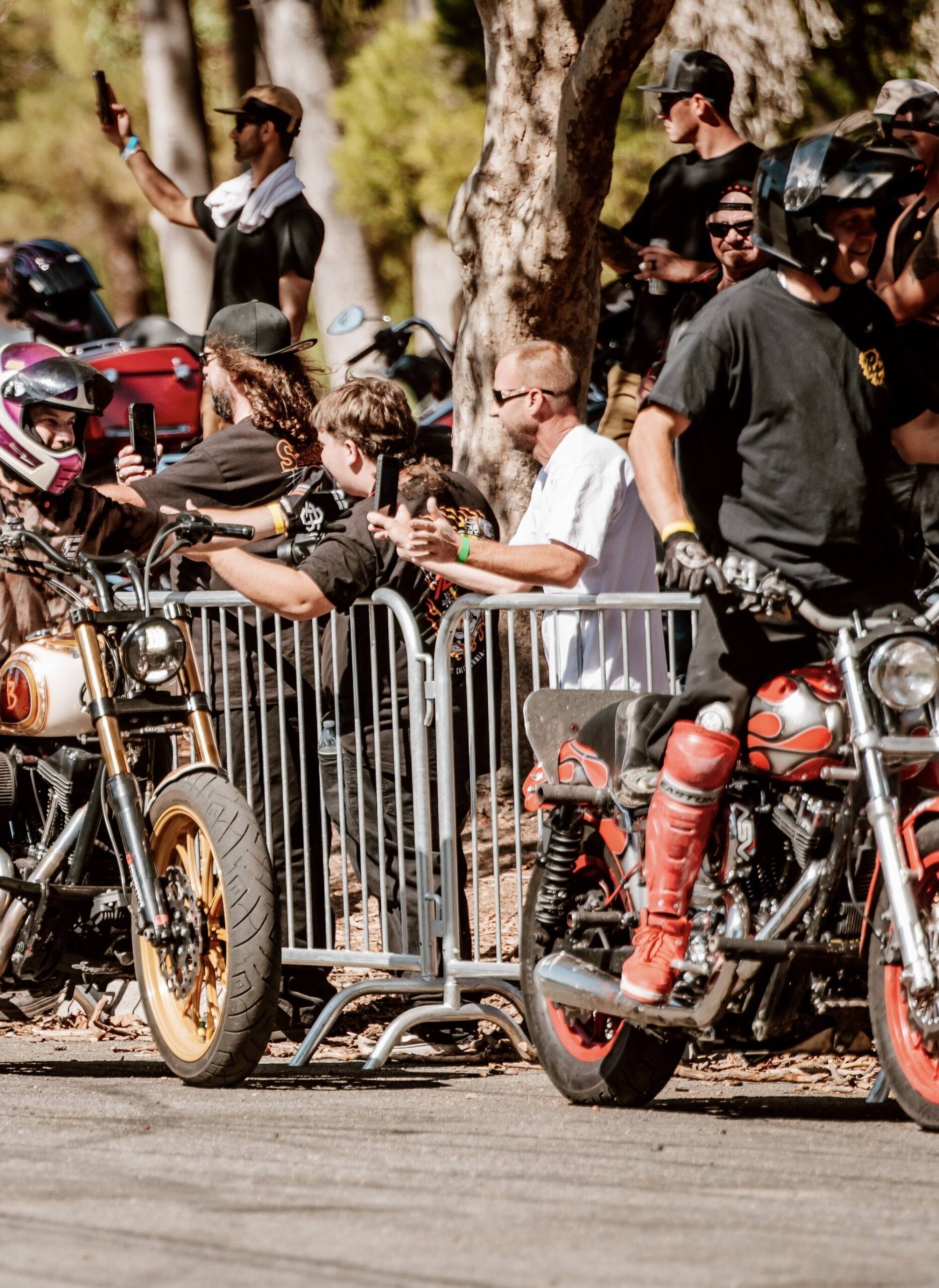 C-Stunt-Show-13-tbdcredit